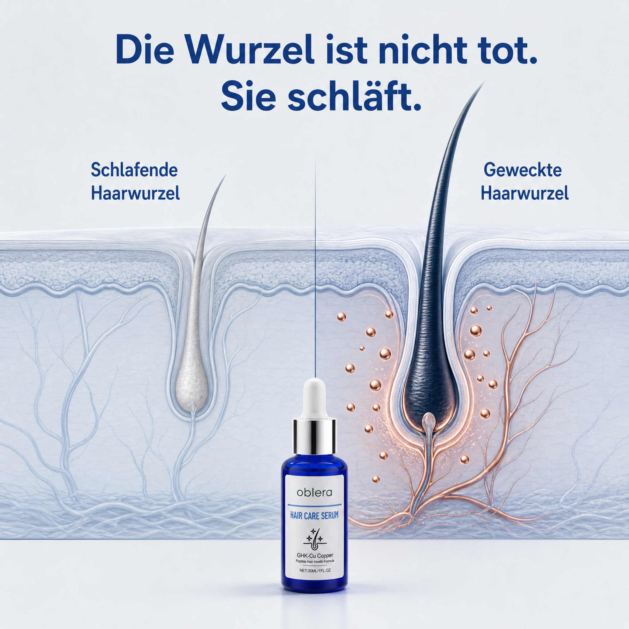 Kupferpeptide wecken schlafende Haarwurzeln